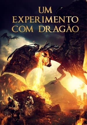 Um Experimento Com Dragão
