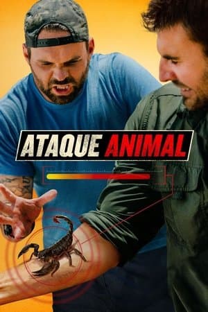 Ataque Animal