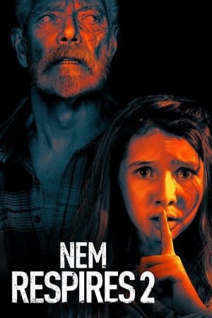 O Homem nas Trevas 2