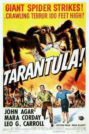Tarântula!