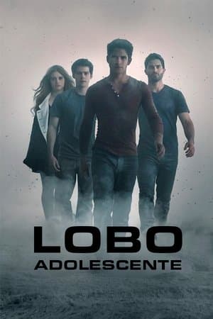 Lobo Adolescente