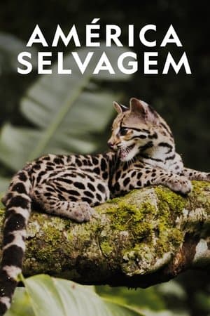 América Selvagem