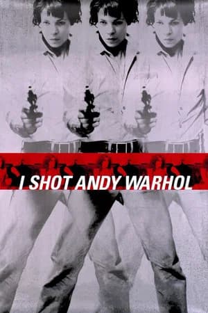 Um Tiro para Andy Warhol