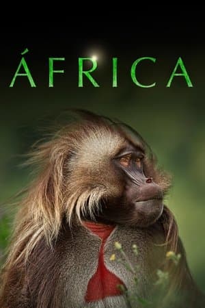 Africa