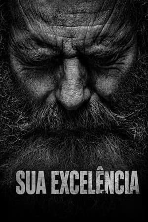 Sua Excelência