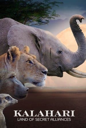 Kalahari: Terra das Alianças Secretas