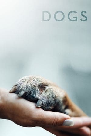 Apenas Cães