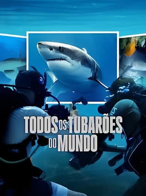 Todos os Tubarões do Mundo