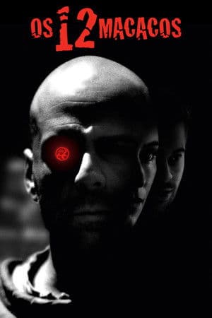 Os 12 Macacos