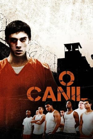 O Canil