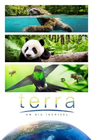 Terra: Um Dia Incrível
