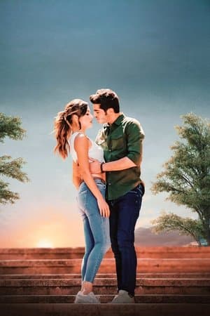 O Amor Não Entende Palavras