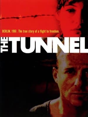 O Túnel
