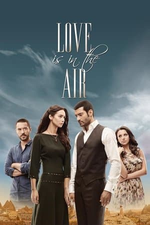 Love Is in the Air