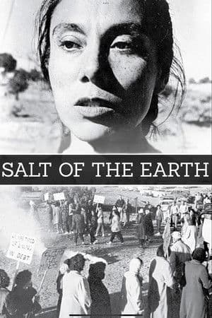 O Sal da Terra