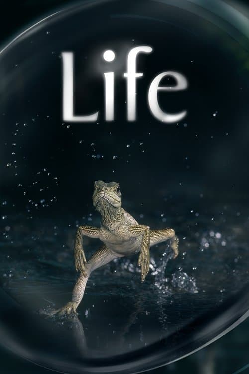 Vida