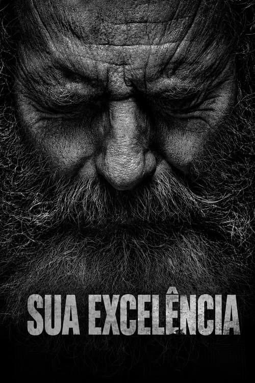 Sua Excelência