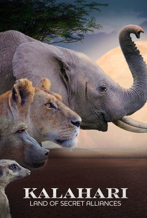 Kalahari: Terra das Alianças Secretas