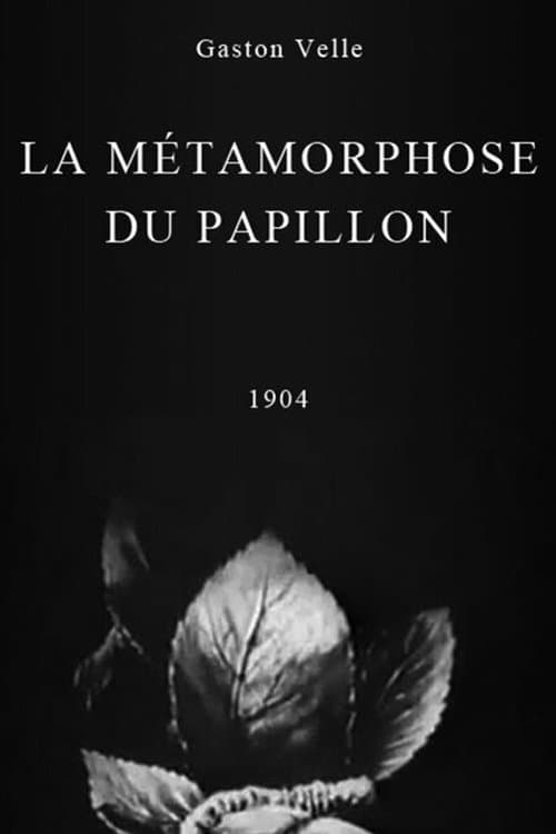 Métamorphose du papillon