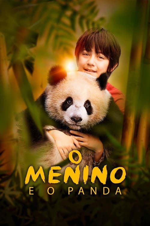 O Menino e o Panda
