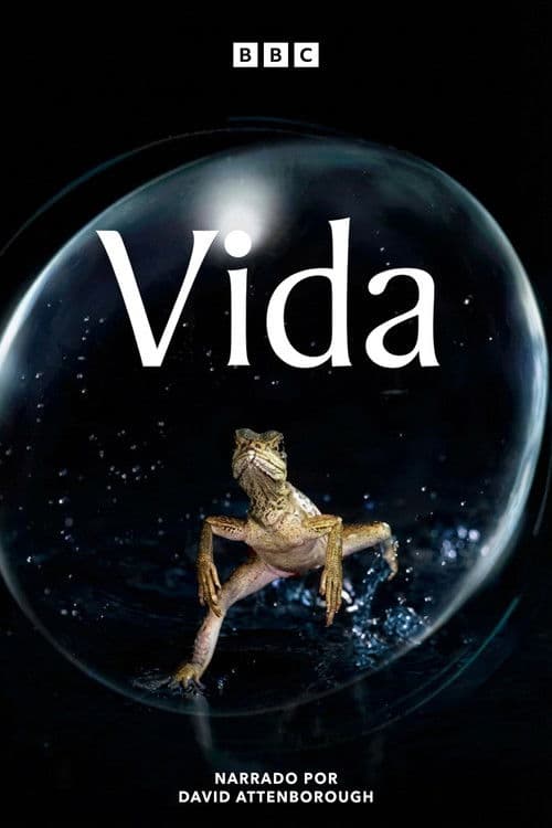 Vida