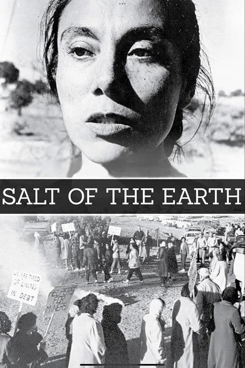 O Sal da Terra