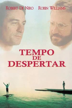 Tempo de Despertar